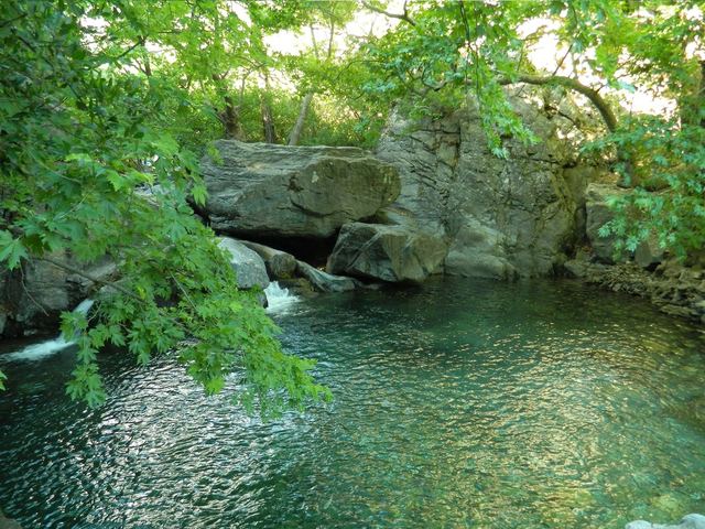 Kazdağı Milli Parkı’nda dere ve orman