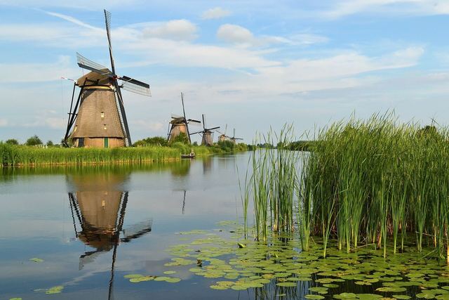 Kinderdijk yel değirmenleri