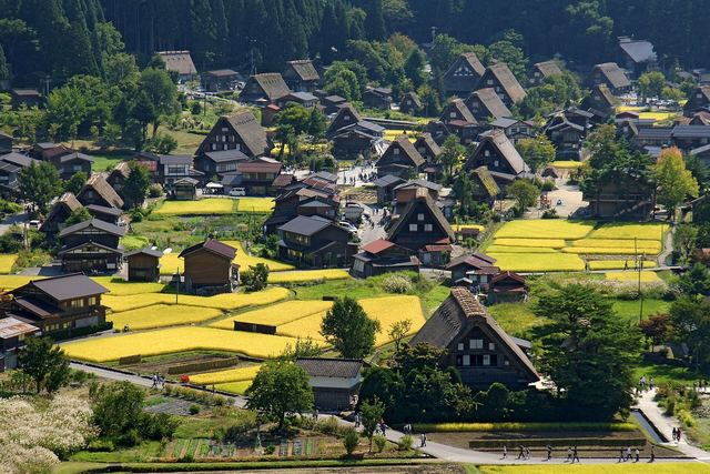 Shirakawa-go’nun geleneksel köy evleri